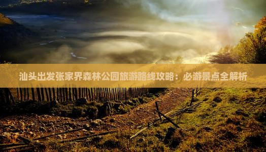 汕头出发张家界森林公园旅游路线攻略：必游景点全解析