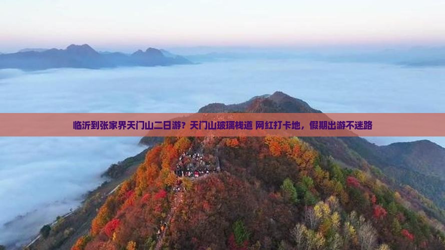 临沂到张家界天门山二日游?天门山玻璃栈道+网红打卡地,假期出游不迷路 临沂到张家界天门山二日游?天门山玻璃栈道+网红打卡地,假期出游不迷路