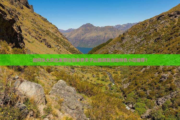 如何从大庆出发前往张家界天子山旅游及当地特色小吃推荐？