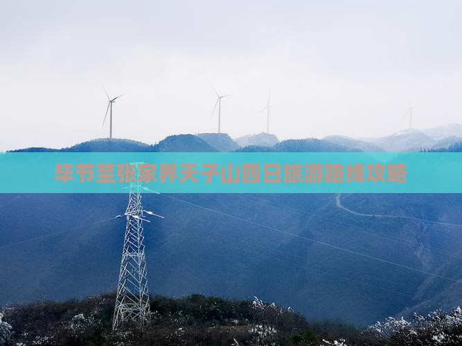 毕节至张家界天子山四日旅游路线攻略