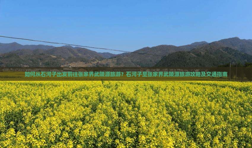 如何从石河子出发前往张家界武陵源旅游？石河子至张家界武陵源旅游攻略及交通指南