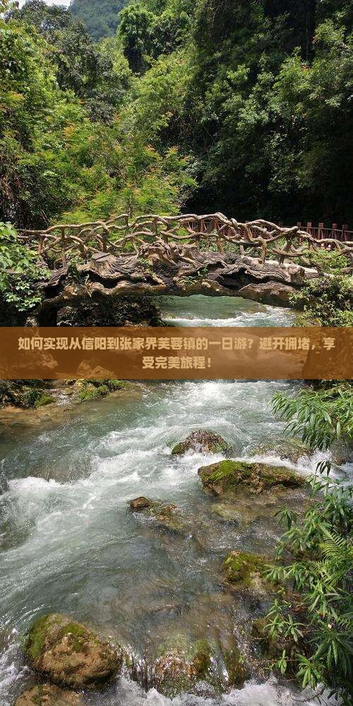 如何实现从信阳到张家界芙蓉镇的一日游？避开拥堵，享受完美旅程！