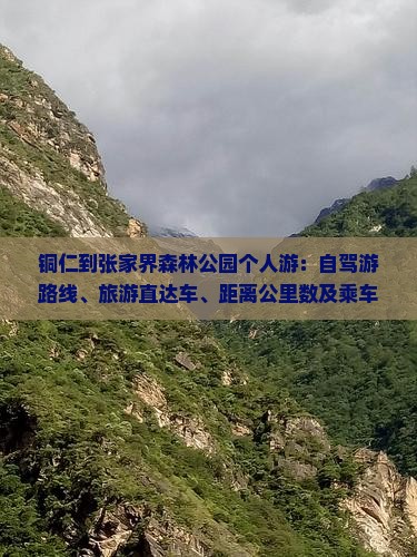 铜仁到张家界森林公园个人游：自驾游路线、旅游直达车、距离公里数及乘车时长指南