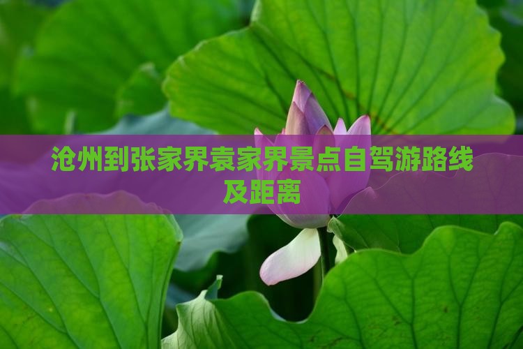 沧州到张家界袁家界景点自驾游路线及距离