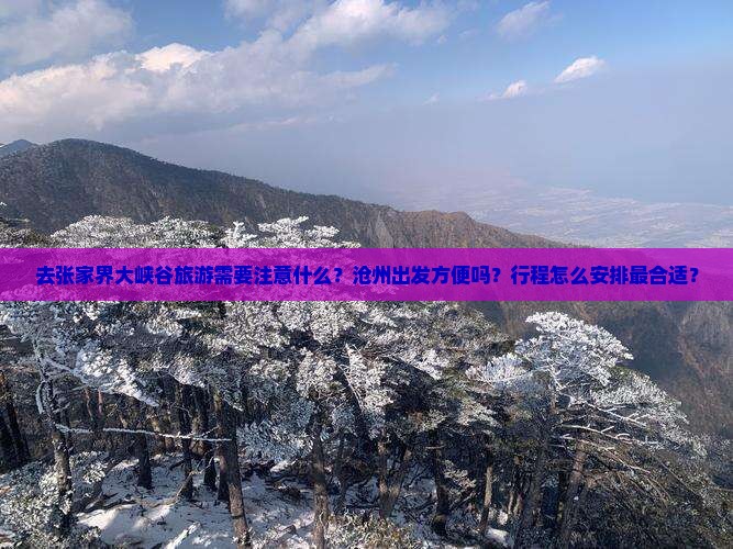 去张家界大峡谷旅游需要注意什么?沧州出发方便吗?行程怎么安排最合适? 去张家界大峡谷旅游需要注意什么?沧州出发方便吗?行程怎么安排最合适?