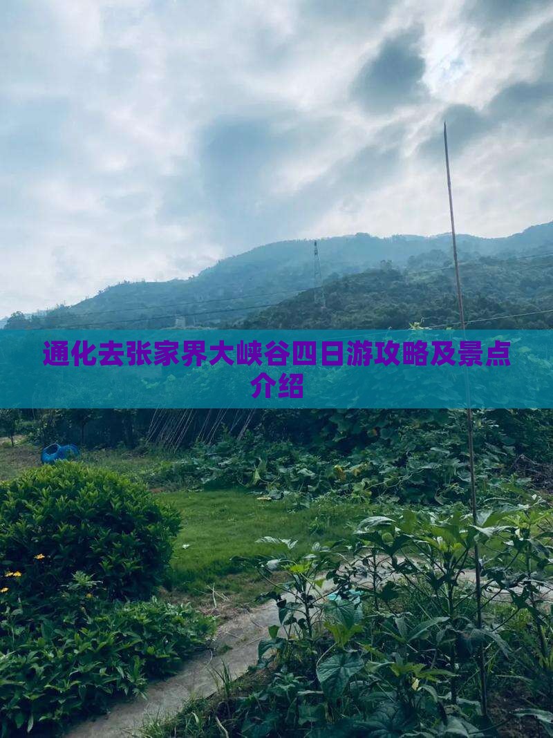 通化去张家界大峡谷四日游攻略及景点介绍