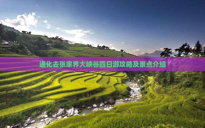 通化去张家界大峡谷四日游攻略及景点介绍