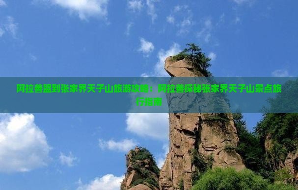 阿拉善盟到张家界天子山旅游攻略：阿拉善探秘张家界天子山景点旅行指南