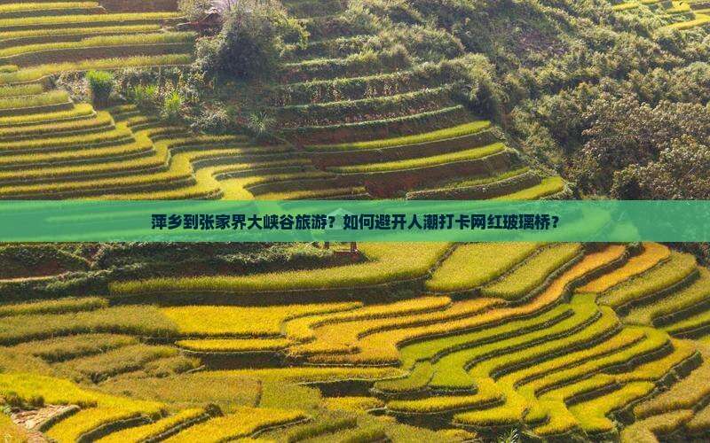 萍乡到张家界大峡谷旅游？如何避开人潮打卡网红玻璃桥？