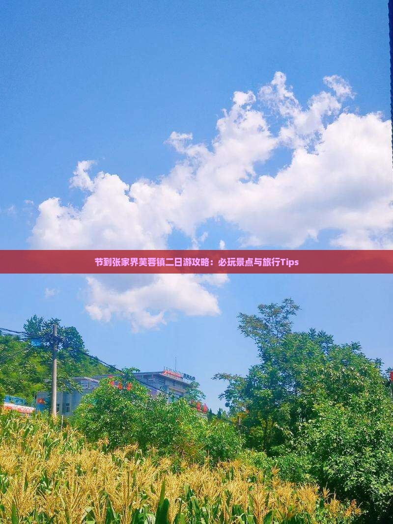 节到张家界芙蓉镇二日游攻略：必玩景点与旅行Tips