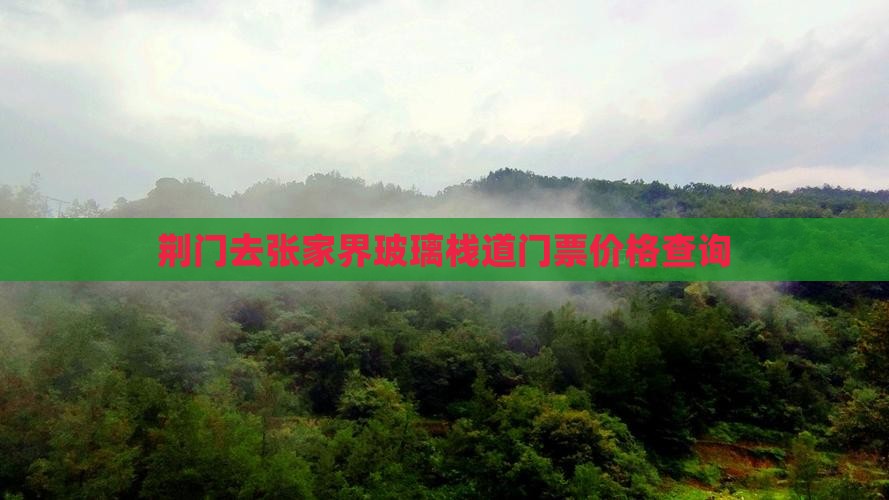 荆门去张家界玻璃栈道门票价格查询