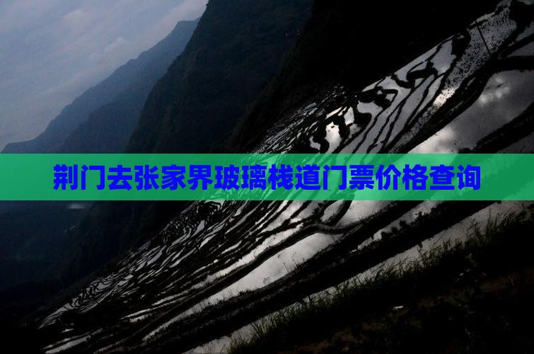 荆门去张家界玻璃栈道门票价格查询