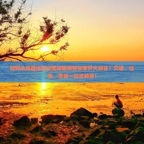 如何从海西出发全面攻略游览张家界大峡谷？交通、住宿、美食一站式解答！