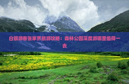 白银游客张家界旅游攻略：森林公园深度游哪里值得一去