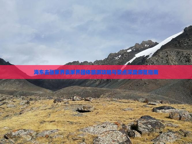 海东去张家界袁家界团体旅游攻略与景点深度游览指南