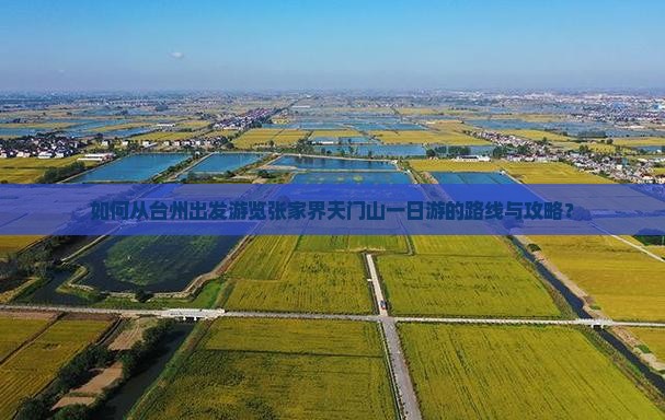如何从台州出发游览张家界天门山一日游的路线与攻略？