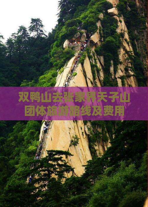 双鸭山去张家界天子山团体旅游路线及费用