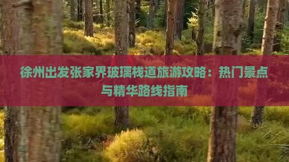 徐州出发张家界玻璃栈道旅游攻略：热门景点与精华路线指南