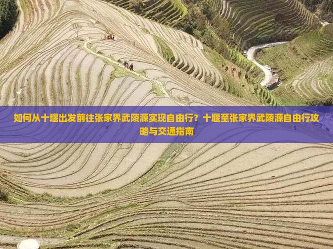 如何从十堰出发前往张家界武陵源实现自由行？十堰至张家界武陵源自由行攻略与交通指南