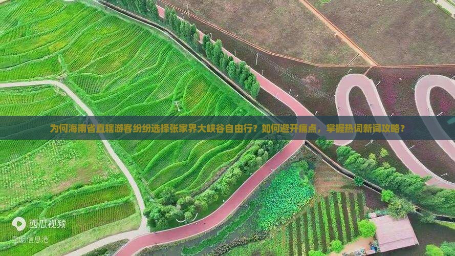为何海南省直辖游客纷纷选择张家界大峡谷自由行？如何避开痛点，掌握热词新词攻略？