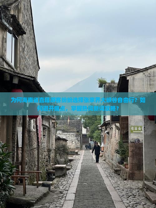 为何海南省直辖游客纷纷选择张家界大峡谷自由行？如何避开痛点，掌握热词新词攻略？