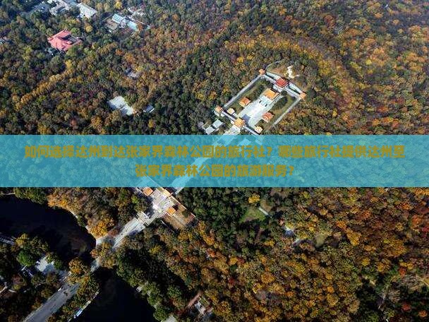 如何选择达州到达张家界森林公园的旅行社？哪些旅行社提供达州至张家界森林公园的旅游服务？