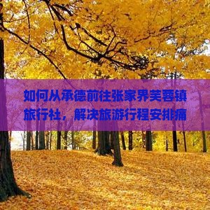 如何从承德前往张家界芙蓉镇旅行社，解决旅游行程安排痛点？