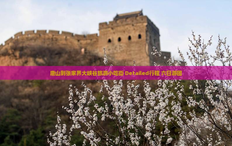 唐山到张家界大峡谷旅游小吃街 Detailed行程+六日游团