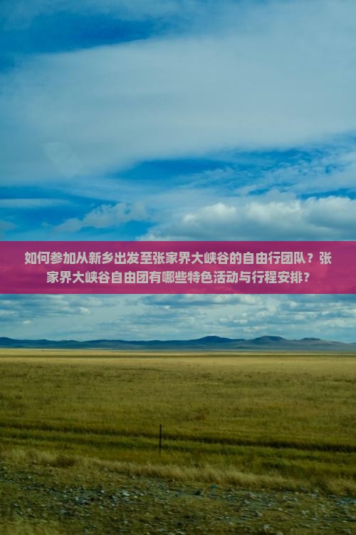 如何参加从新乡出发至张家界大峡谷的自由行团队？张家界大峡谷自由团有哪些特色活动与行程安排？