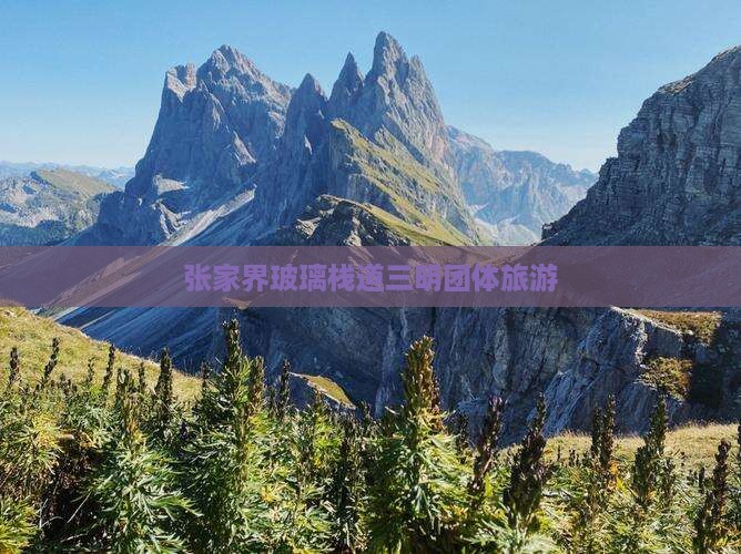 张家界玻璃栈道三明团体旅游