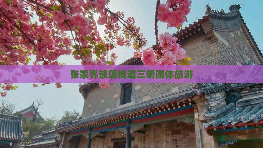 张家界玻璃栈道三明团体旅游