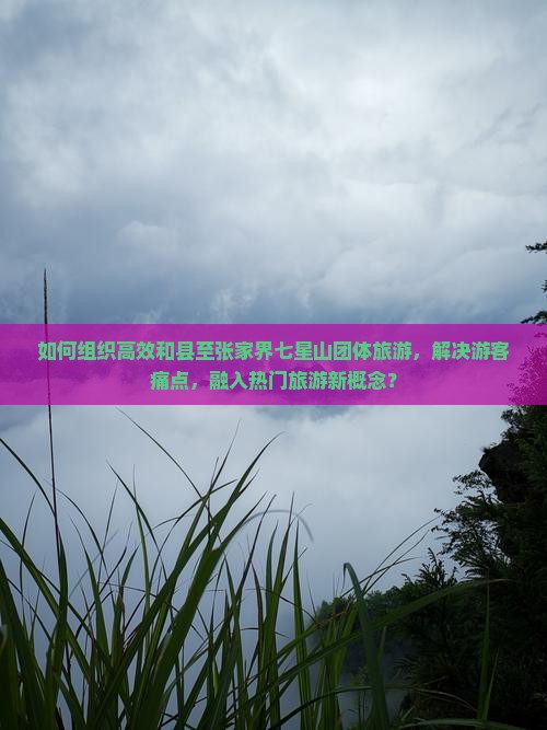 如何组织高效和县至张家界七星山团体旅游，解决游客痛点，融入热门旅游新概念？