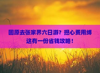 固原去张家界六日游？担心费用缚这有一份省钱攻略！
