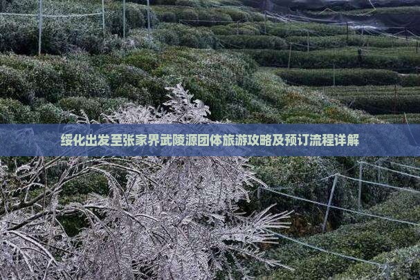 绥化出发至张家界武陵源团体旅游攻略及预订流程详解