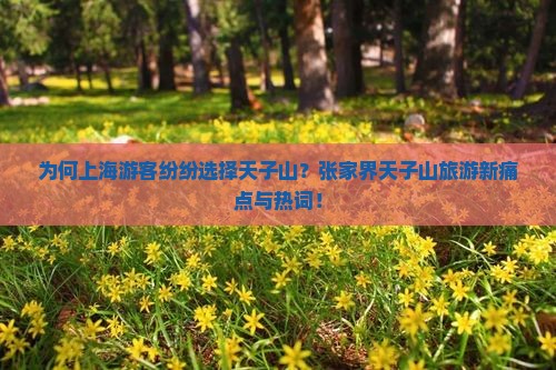 为何上海游客纷纷选择天子山？张家界天子山旅游新痛点与热词！