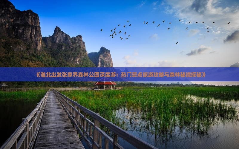《淮北出发张家界森林公园深度游：热门景点旅游攻略与森林秘境探秘》