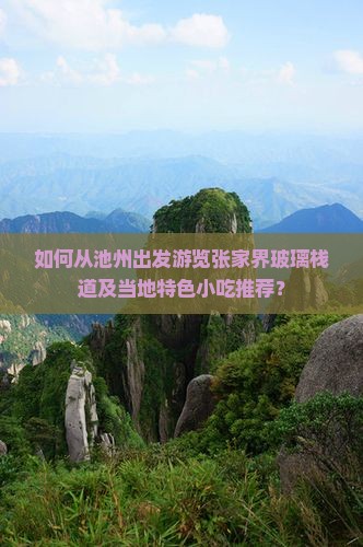 如何从池州出发游览张家界玻璃栈道及当地特色小吃推荐？