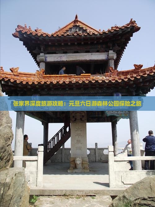 张家界深度旅游攻略：元旦六日游森林公园探险之旅