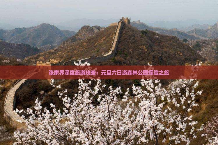张家界深度旅游攻略：元旦六日游森林公园探险之旅