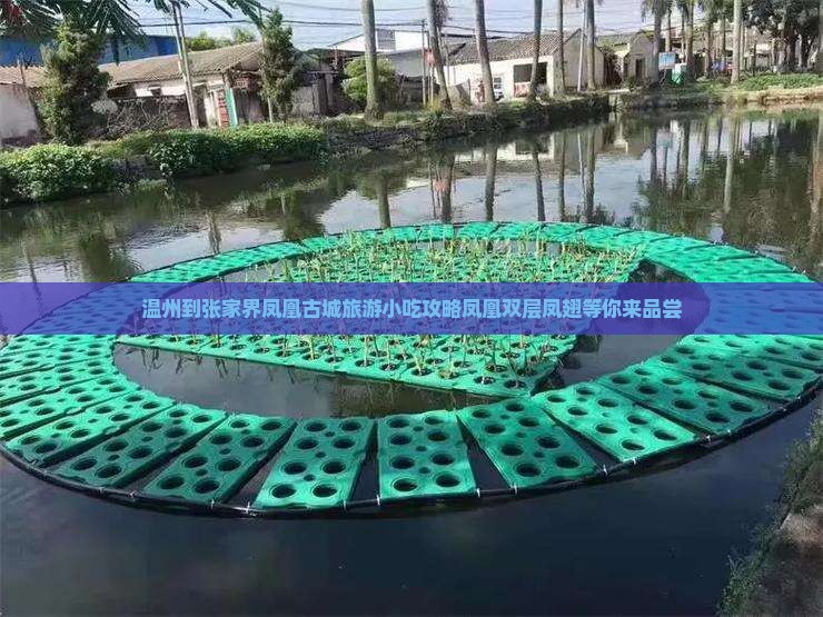 温州到张家界凤凰古城旅游小吃攻略凤凰双层凤翅等你来品尝