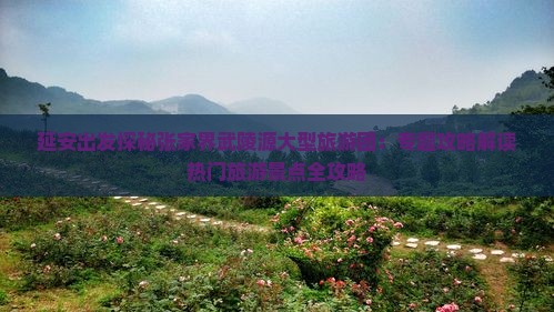 延安出发探秘张家界武陵源大型旅游团：专题攻略解读热门旅游景点全攻略