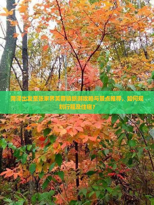 菏泽出发至张家界芙蓉镇旅游攻略与景点推荐，如何规划行程及住宿？