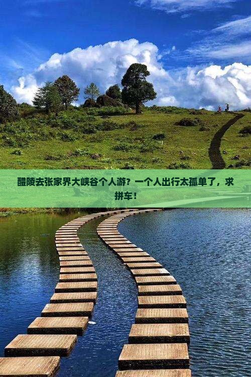 醴陵去张家界大峡谷个人游？一个人出行太孤单了，求拼车！