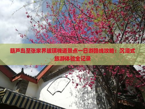 葫芦岛至张家界玻璃栈道景点一日游路线攻略：沉浸式旅游体验全记录