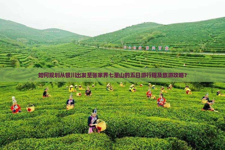 如何规划从银川出发至张家界七星山的五日游行程及旅游攻略？
