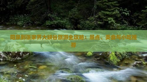 阳泉到张家界大峡谷旅游全攻略：景点、美食与小吃推荐