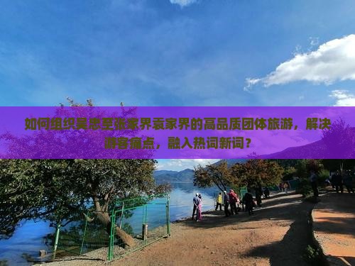 如何组织吴忠至张家界袁家界的高品质团体旅游，解决游客痛点，融入热词新词？