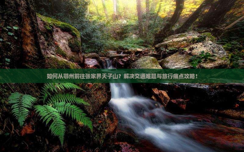 如何从鄂州前往张家界天子山？解决交通难题与旅行痛点攻略！