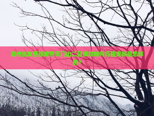 亳州出发至张家界天门山二日游攻略与行程安排是怎样的？
