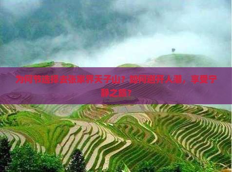 为何节选择去张家界天子山？如何避开人潮，享受宁静之旅？